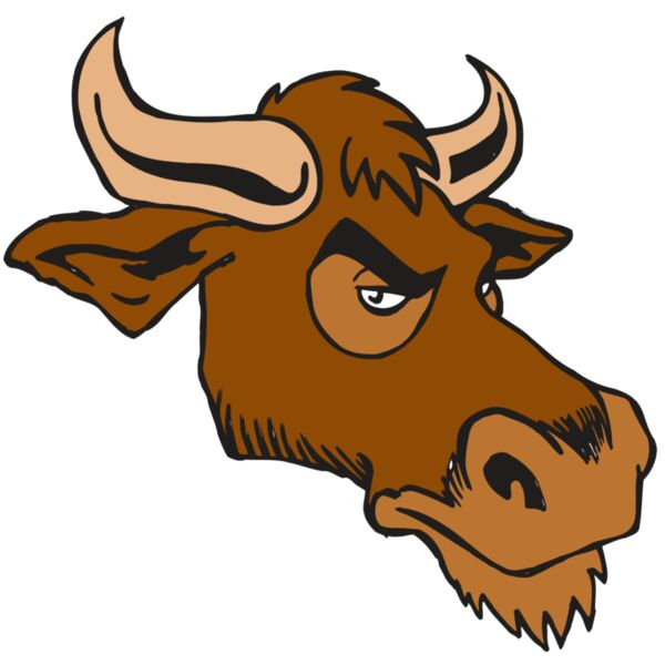 AR5 Bull 06 RQC Thumbnail